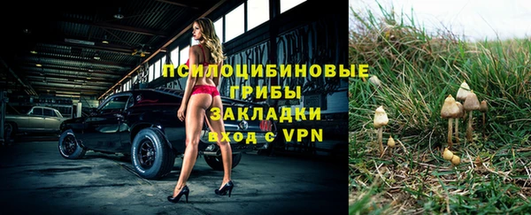 спиды Рославль