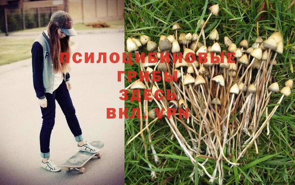 спиды Рославль